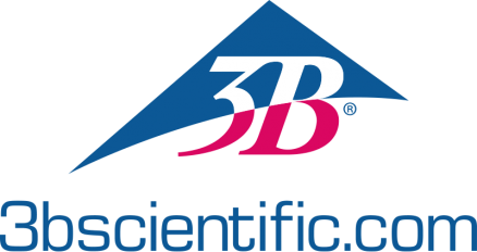 3Bscientific_logo
